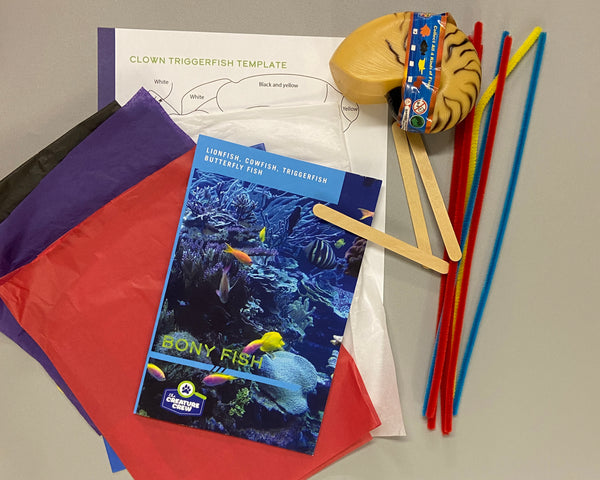 Beneath the Reef: Bony Fish & Ocean Science for Kids