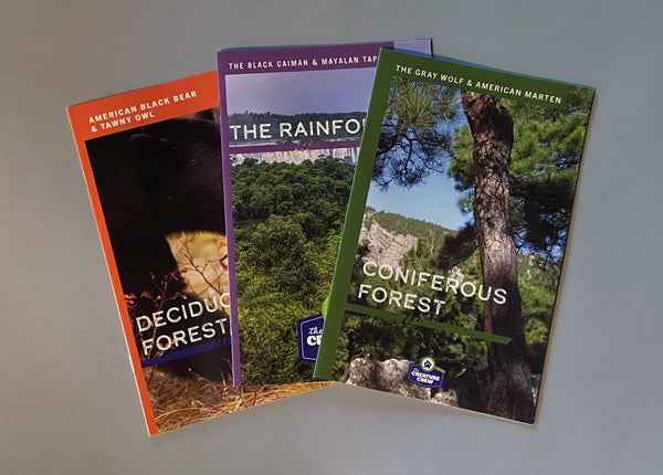 The Forest Box