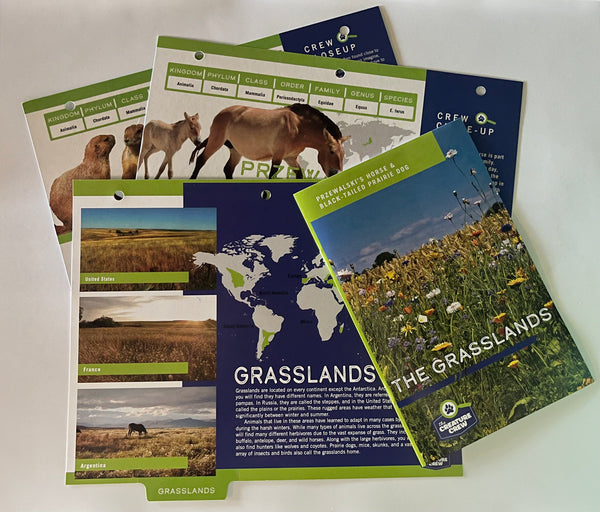 Across the Grasslands: Prairie Animals & Habitats