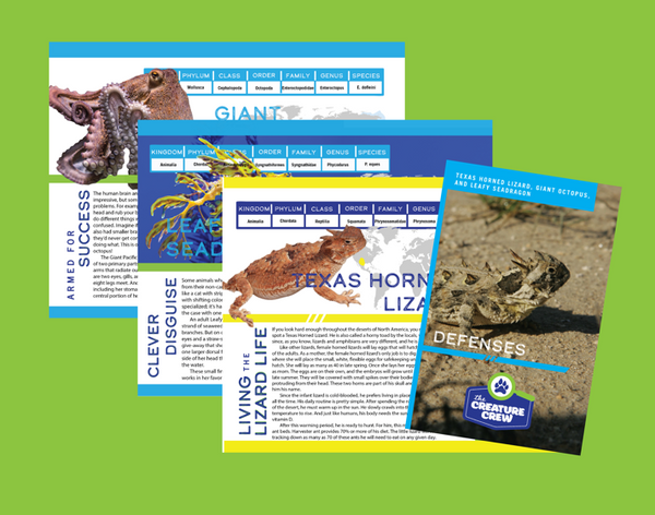 Built to Survive: Animal Defenses & Adaptations